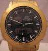 Citizen Alterna Worldtime, Black Dial, Gold IP Bracelet