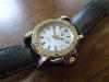 Sector Golden Eagle Automatic