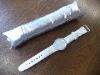 Swatch Winter Day