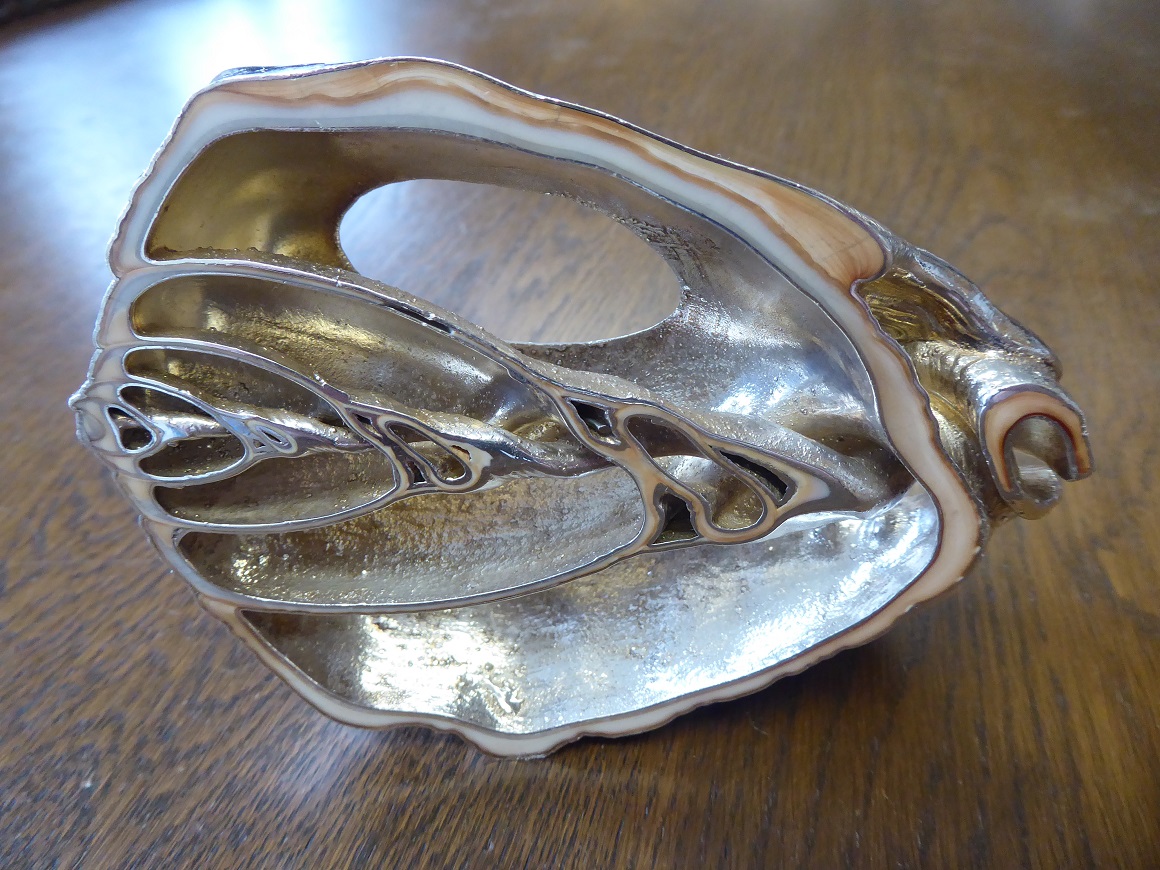 A Ross Somerville Morgan Silver Fossil Shell