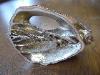 A Ross Somerville Morgan Silver Fossil Shell