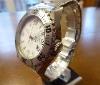Gucci Pantheon Diver