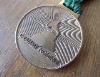 A 51st Grammy Awards Nominee Medal 