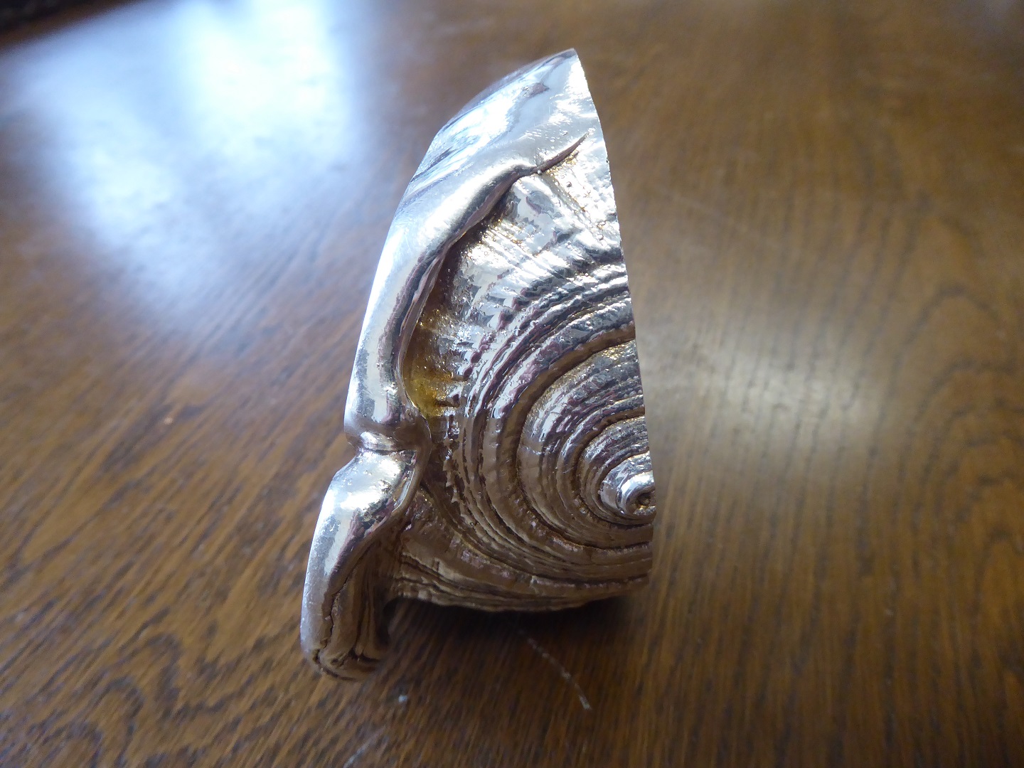 A Ross Somerville Morgan Silver Fossil Shell