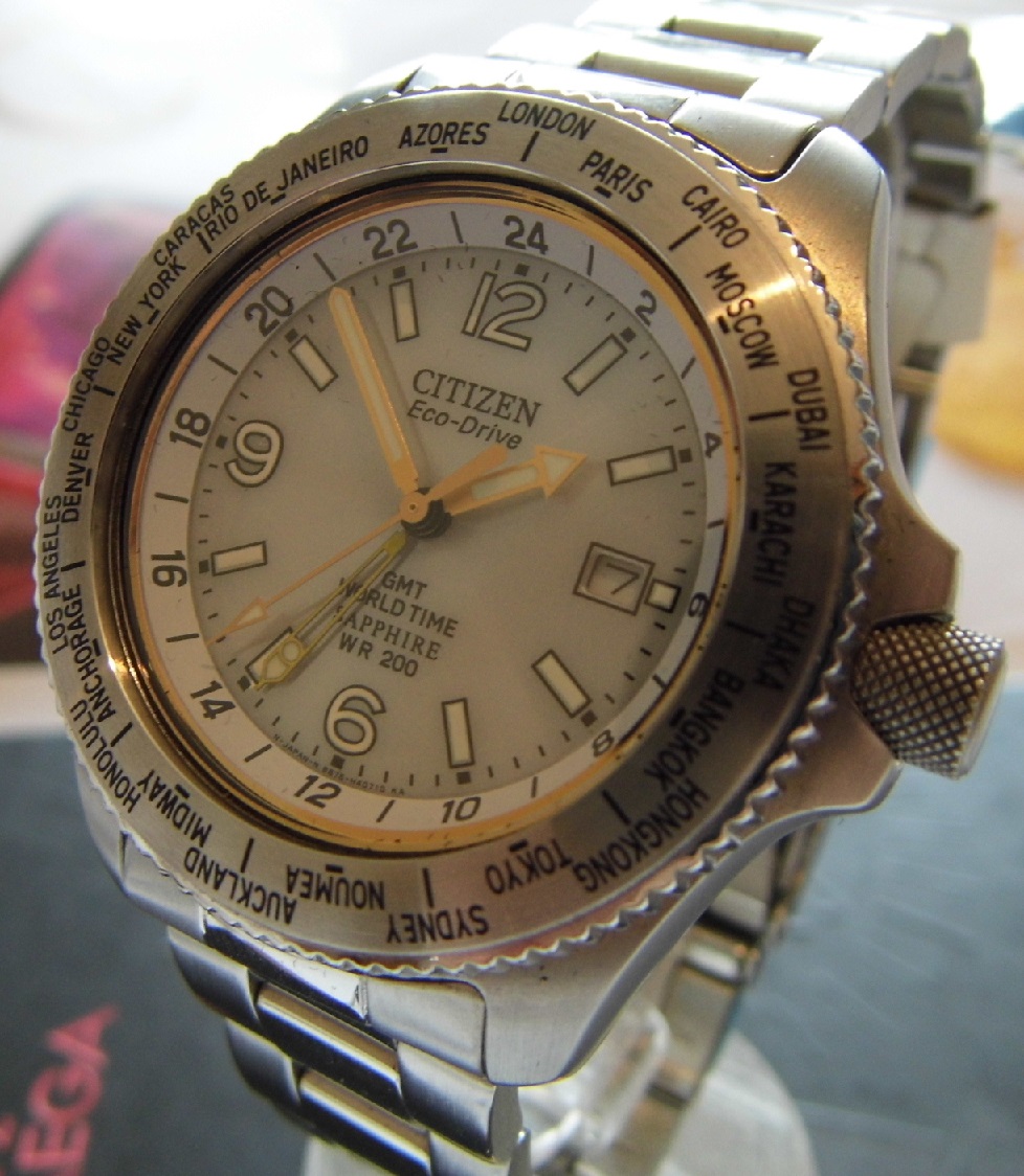 citizen promaster bracelet