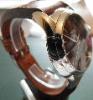 Oris Artelier, Black Dial, Brown Leather Strap